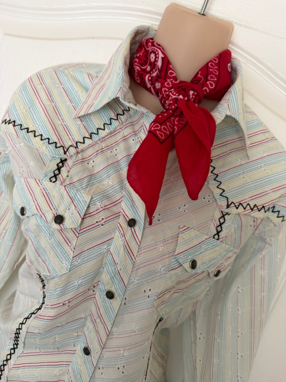 Cruel Girl Western Style Embroidered Snap Shirt Pastel Stripe Eyelet Rodeo, Sz L - Picture 3 of 14